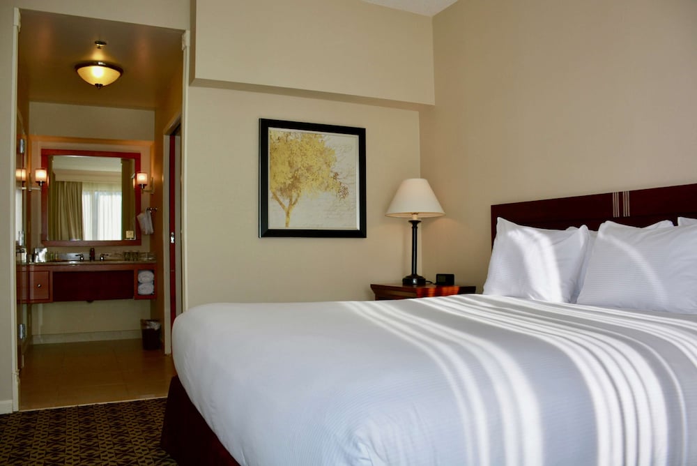 Suite, One King Bed, Accessible - Photo 1