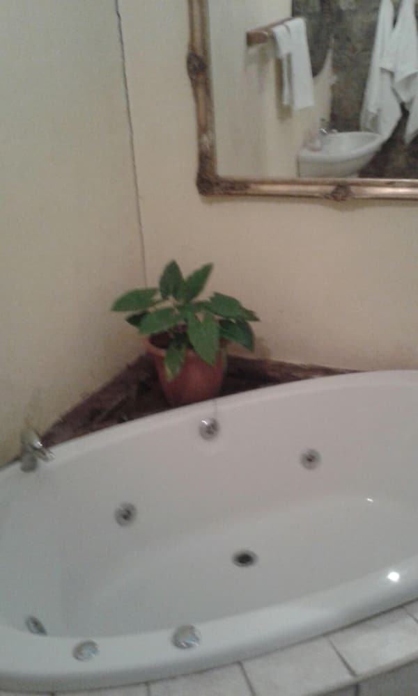 Honeymoon Suite, Jetted Tub photo 2