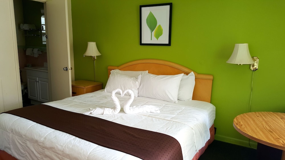 Standard Room, 1 King Bed photo 3
