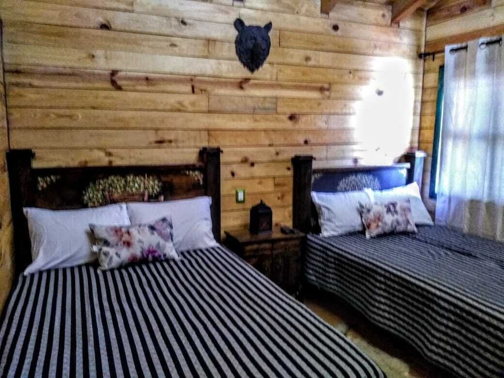 Family Cabin photo 1