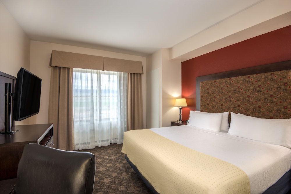 Suite, 1 Bedroom - Photo 1