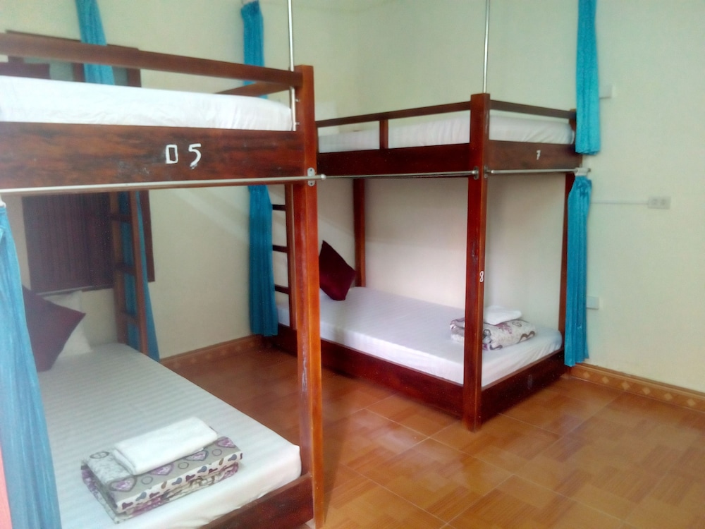 Comfort Shared Dormitory photo 1