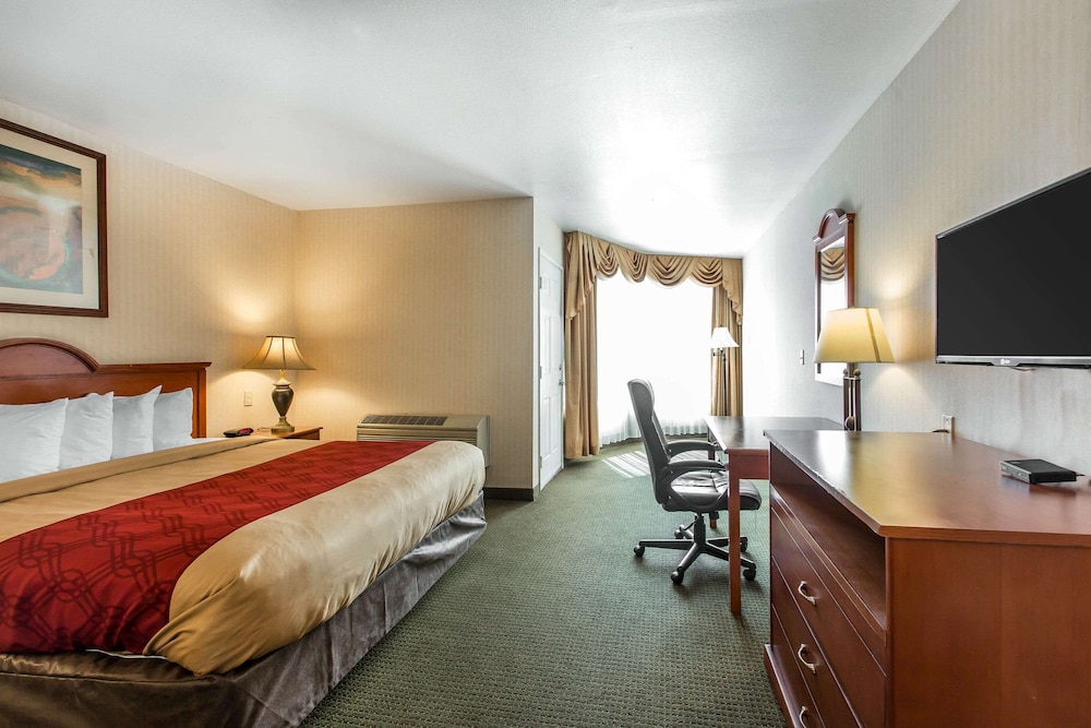 Suite, 1 King Bed with Sofa bed, Non Smoking photo 1