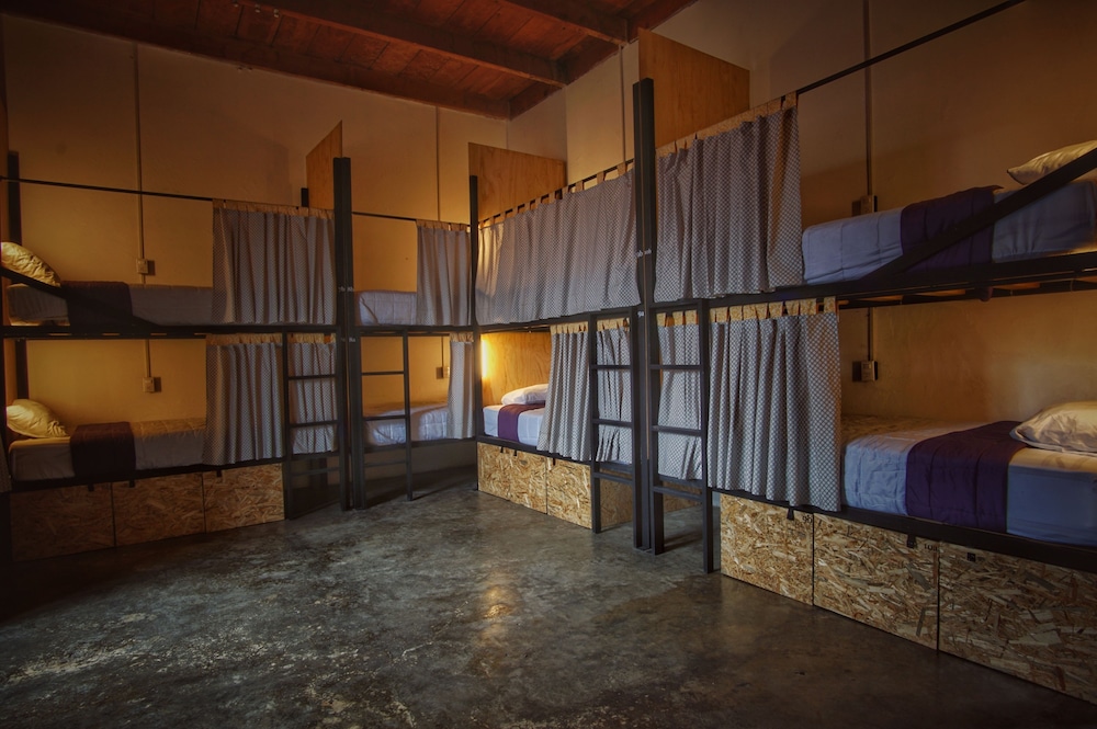 Exclusive Shared Dormitory, Women only, Non Smoking photo 1