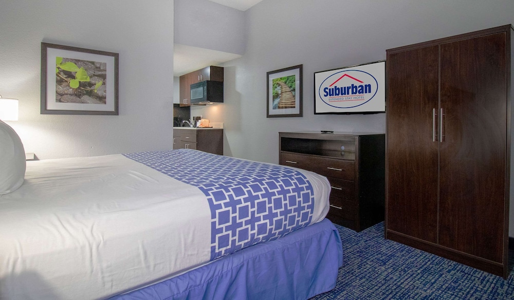 Room, 1 King Bed, Non Smoking (Efficiency) photo 1