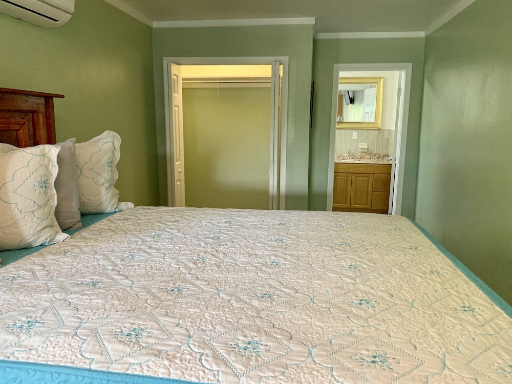 Premium Apartment, 1 Queen Bed photo 2