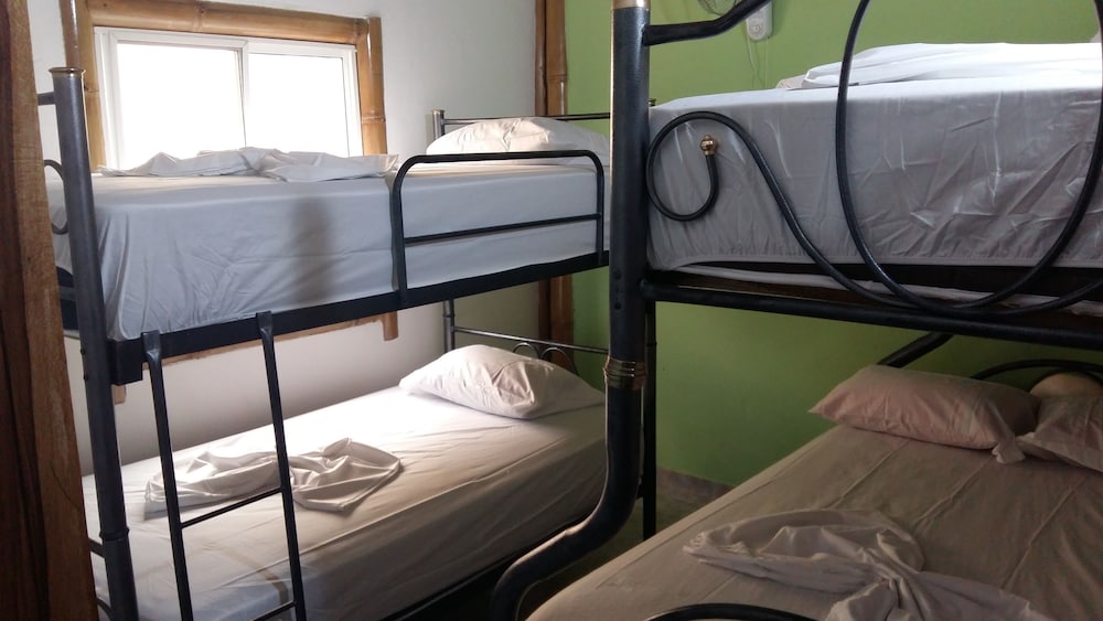 Grand Apartment, Multiple Beds, Shared Bathroom photo 1