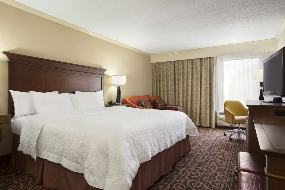 Business Room, 1 King Bed photo 3