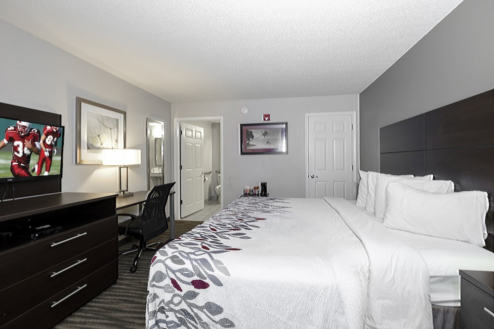 Superior Room, 1 King Bed, Accessible, Non Smoking (Roll-In Shower) - Photo 4