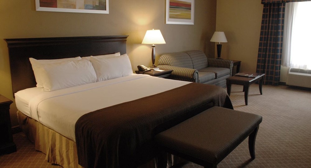 Room, 1 King Bed with Sofa bed, Accessible photo 1