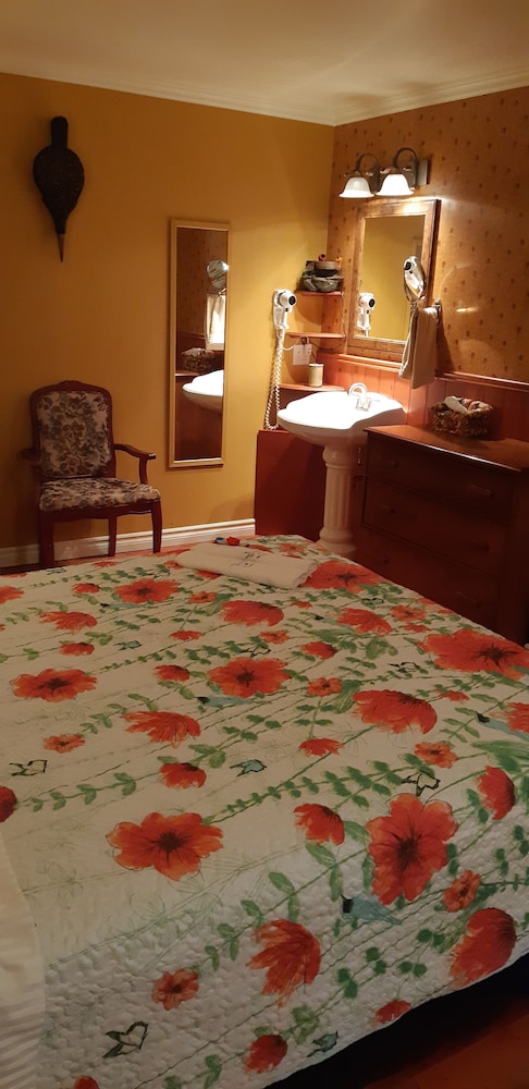 Family Room, 1 Queen Bed with Sofa bed photo 3