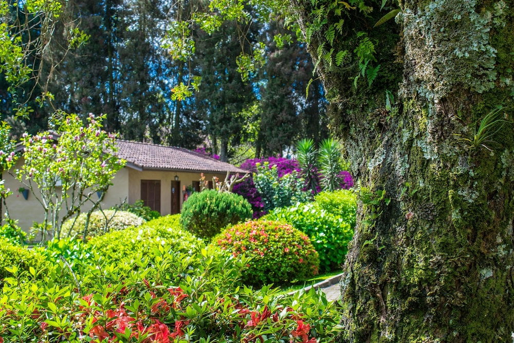 Economy Chalet, 1 Bedroom, Garden Area