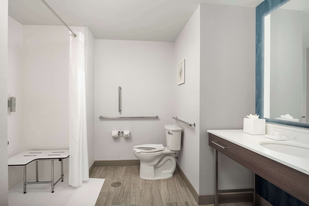 Room, 1 King Bed, Accessible (Mobility & Hearing), Roll-in Shower photo 3