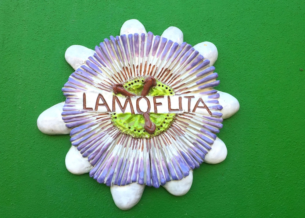 La Moflita Ocean View photo 3