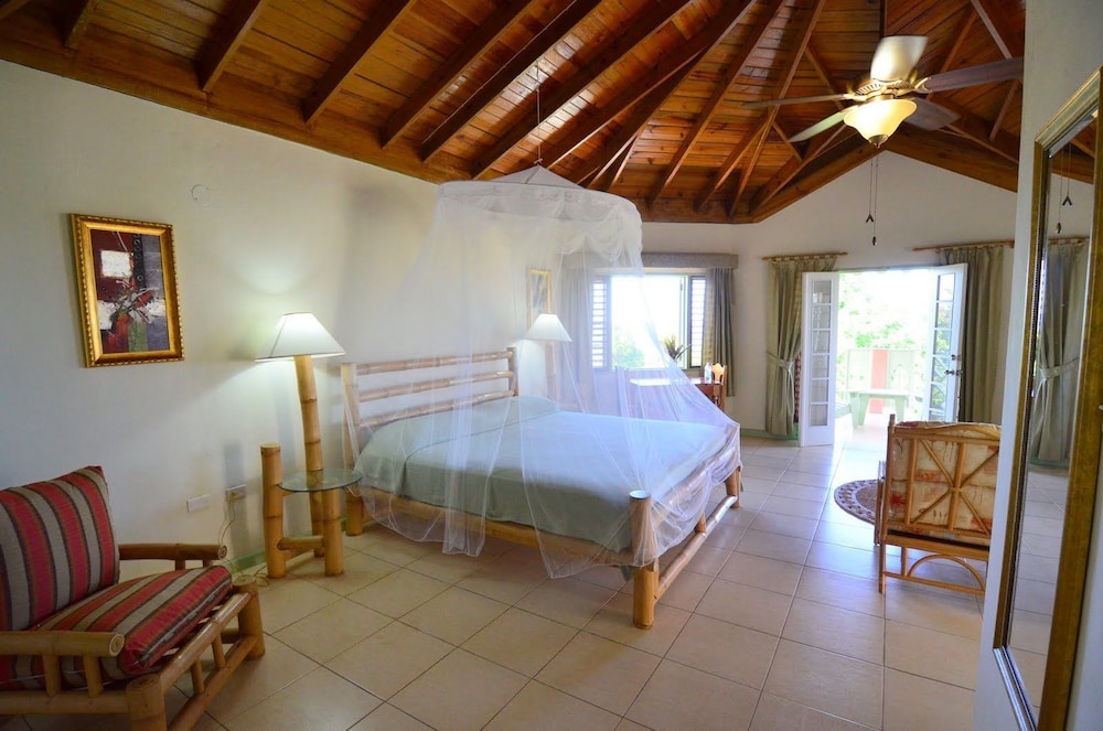 Superior Room, 1 King Bed, Terrace, Garden View