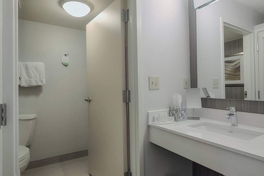 Suite, 1 King Bed (Mobility/Hearing Accessible, Tub)