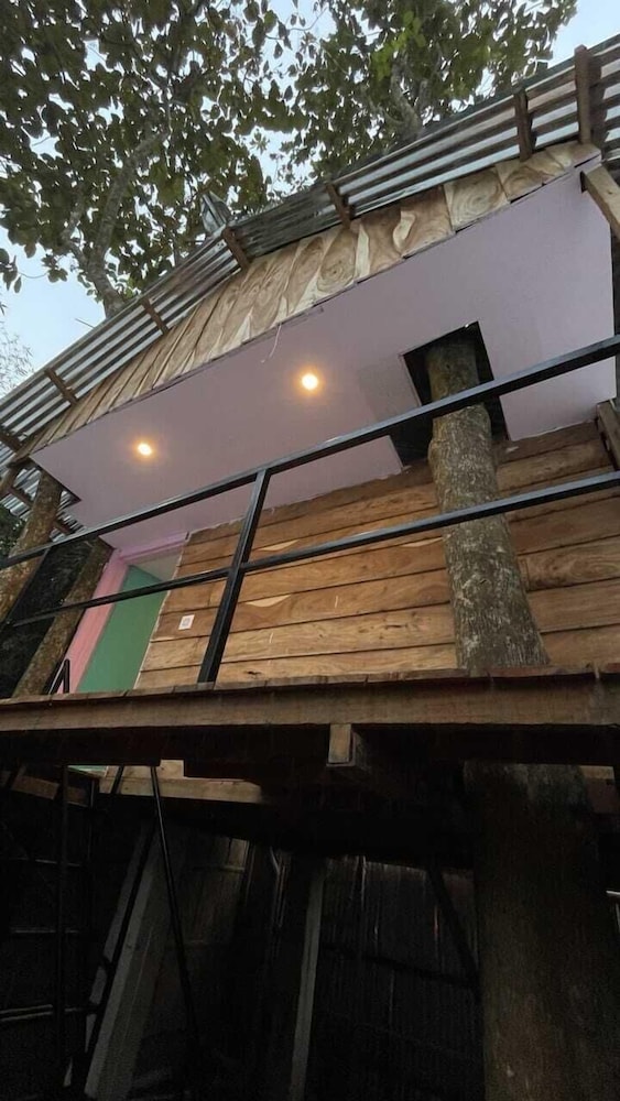 Panoramic Tree House photo 3