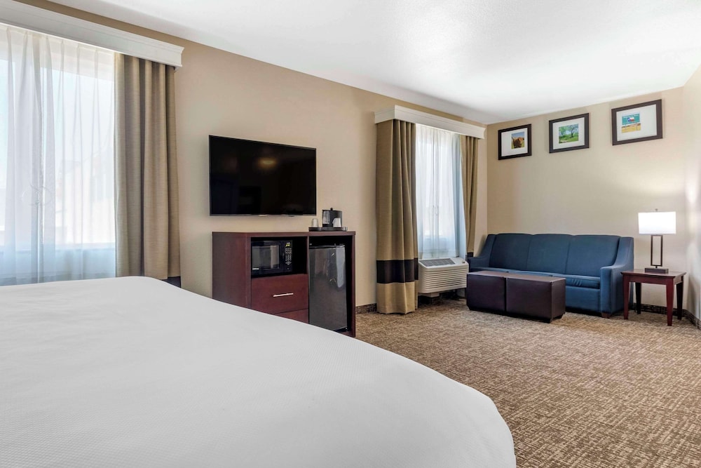 Suite, 1 King Bed with Sofa bed, Accessible, Non Smoking - Photo 3