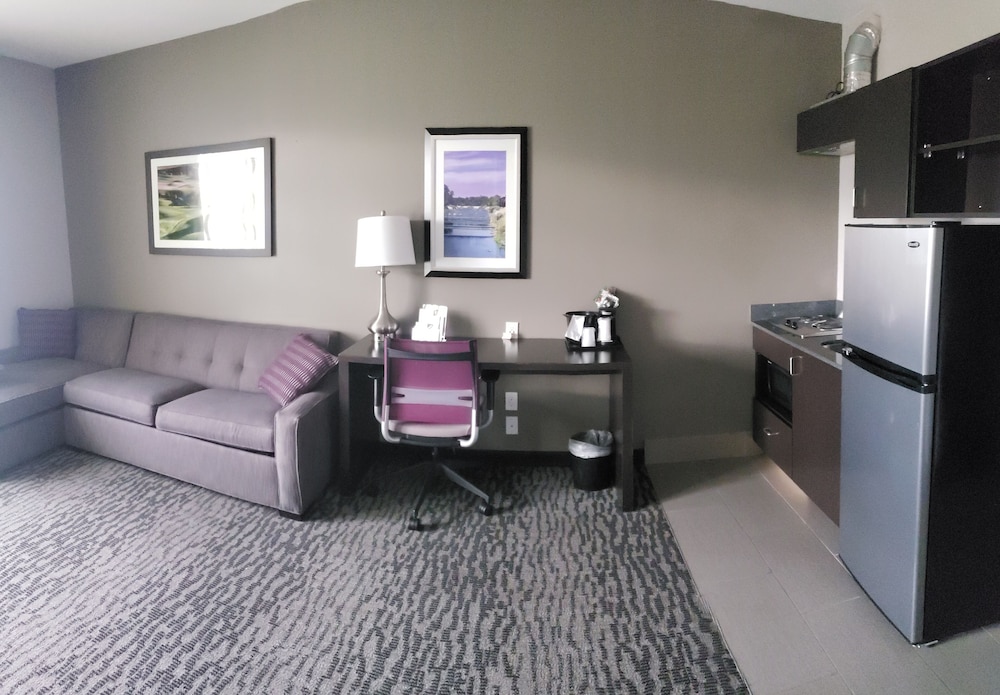 Deluxe Suite, 1 King Bed, Accessible, Non Smoking (Deluxe Family Suite) photo 2