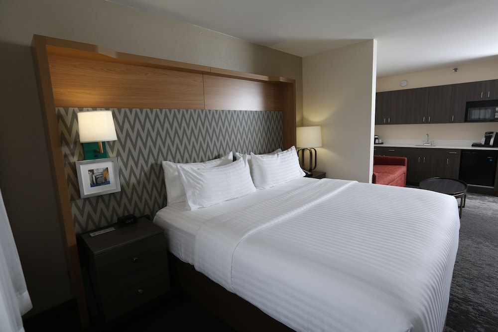 Suite, 1 King Bed - Photo 2