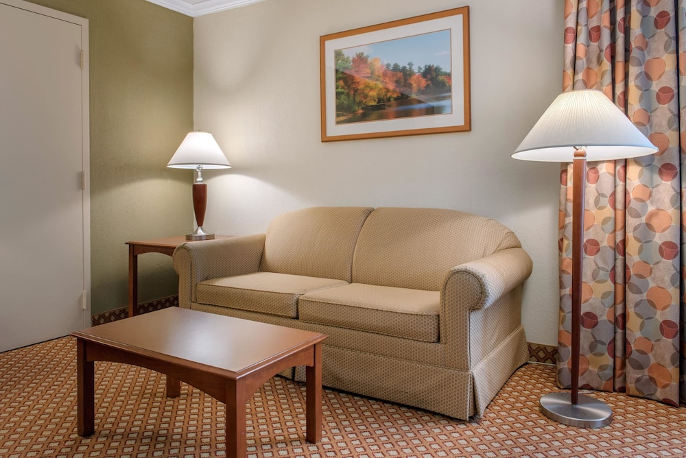 Suite, 1 King Bed with Sofa bed, Accessible, Non Smoking photo 2