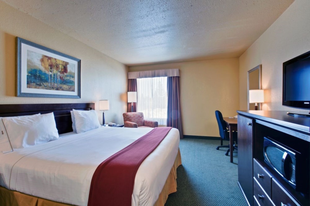 Suite, 1 King Bed with Sofa bed
