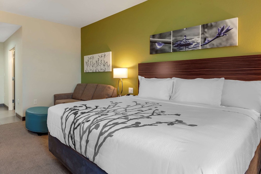 Suite, 1 King Bed with Sofa bed, Non Smoking - Photo 4