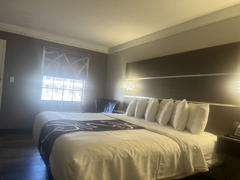 Deluxe Suite, 1 King Bed, Non Smoking photo 1