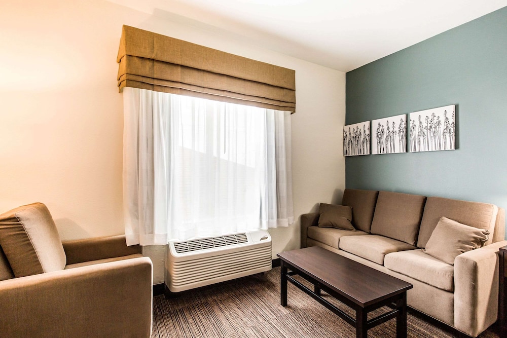 Suite, 1 King Bed with Sofa bed, Non Smoking photo 2