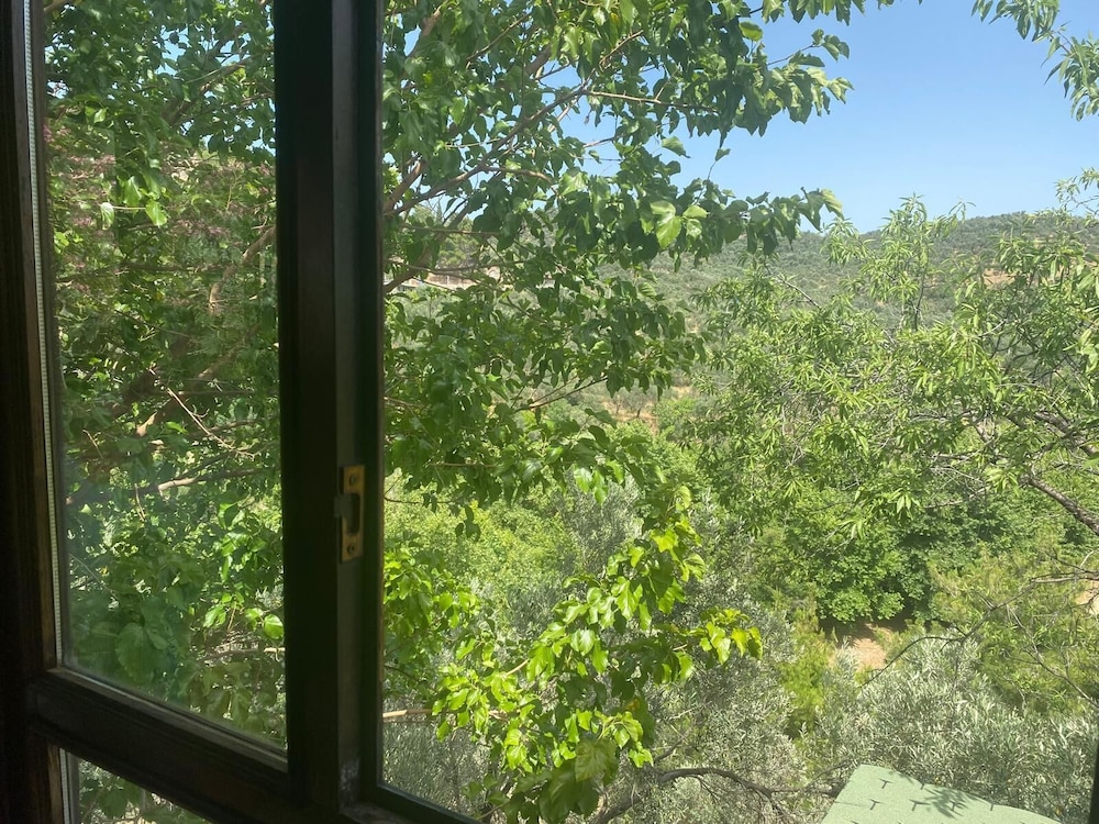 Room, Patio, Mountain View photo 3