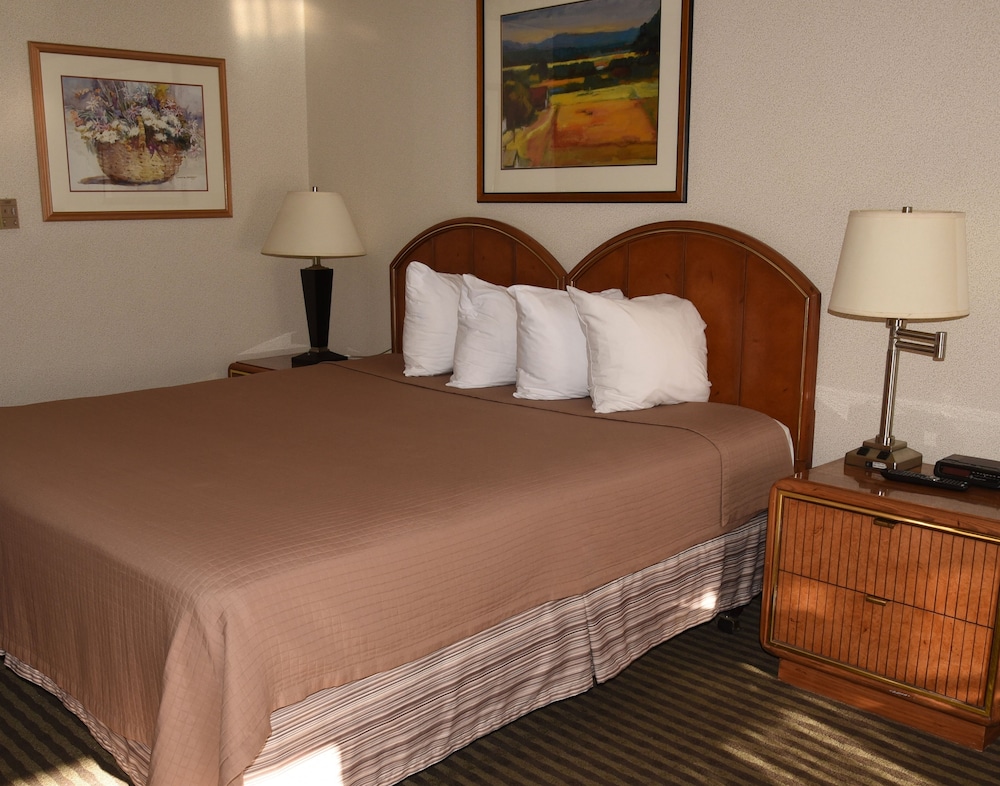 Business Room, 1 King Bed, Non Smoking (No Pets Allowed) photo 2