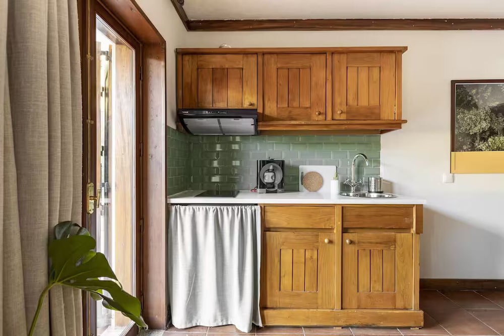 Apartment, Kitchenette, Lake View photo 2