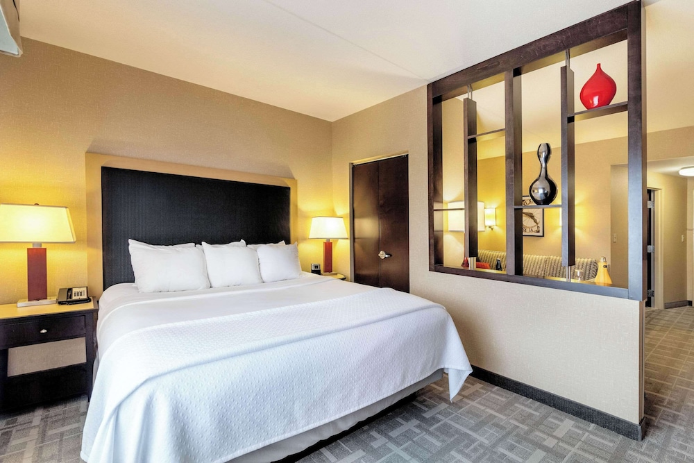 Suite, 1 King Bed with Sofa bed, Non Smoking photo 1