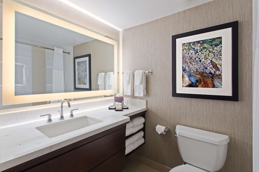 Embassy Suites by Hilton Orlando International Dr Conv Ctr, Foto 6