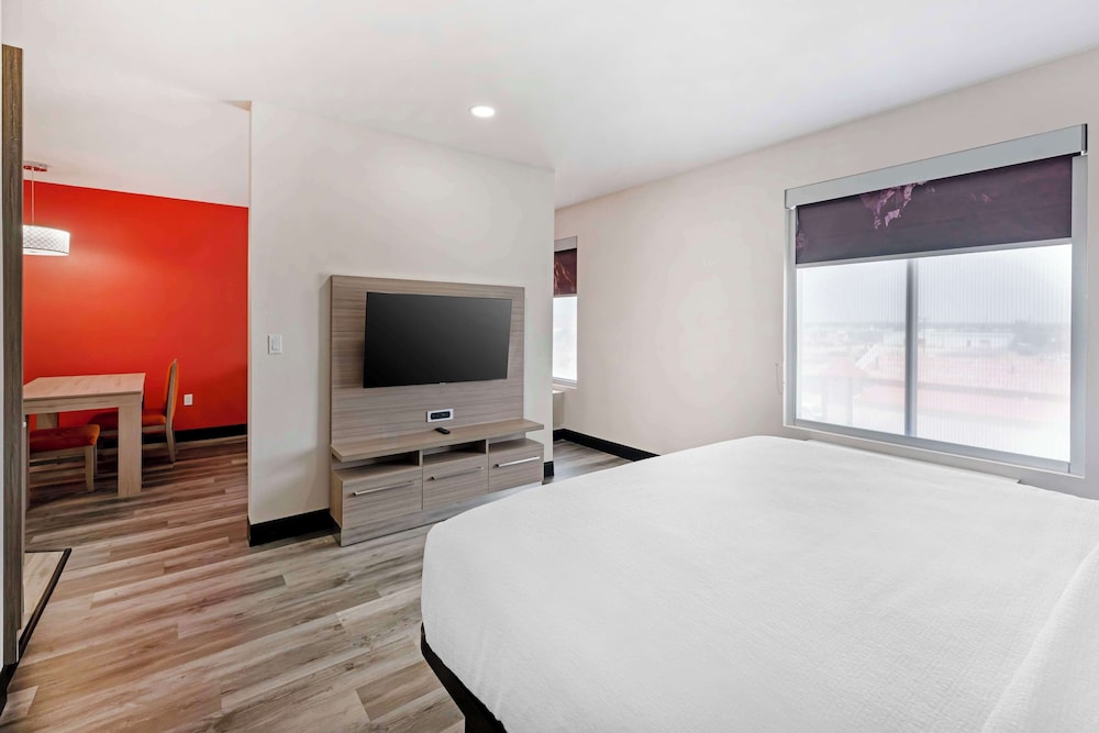 Suite, 1 King Bed, Non Smoking, Kitchen (with Single Sofabed) - Photo 3