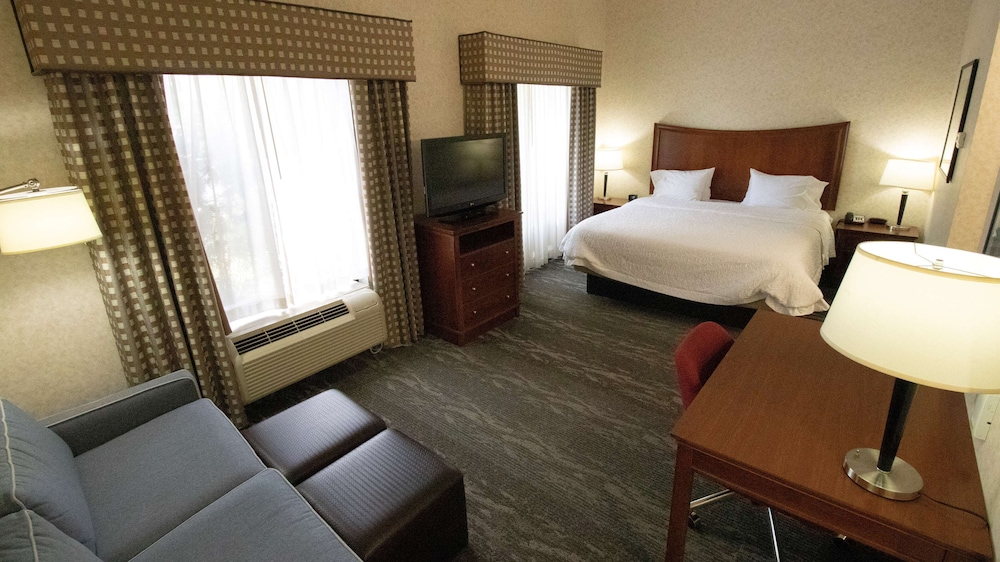 Studio Suite, 1 King Bed with Sofa bed, Accessible (Hearing Accessible with Rollin Shower) - Photo 5