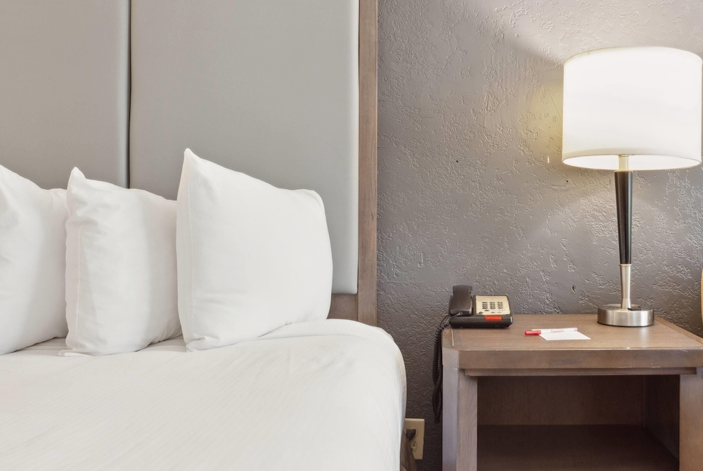 Suite, 1 King Bed, Non Smoking - Photo 1