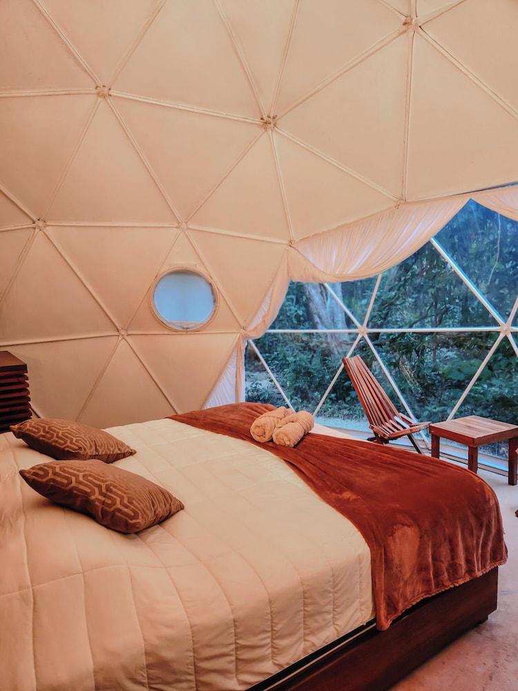 Premium Room photo 2