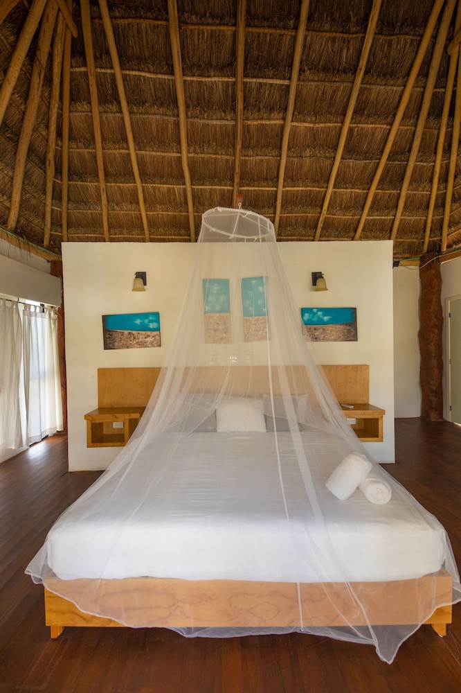 Palapa King Suite Pool View