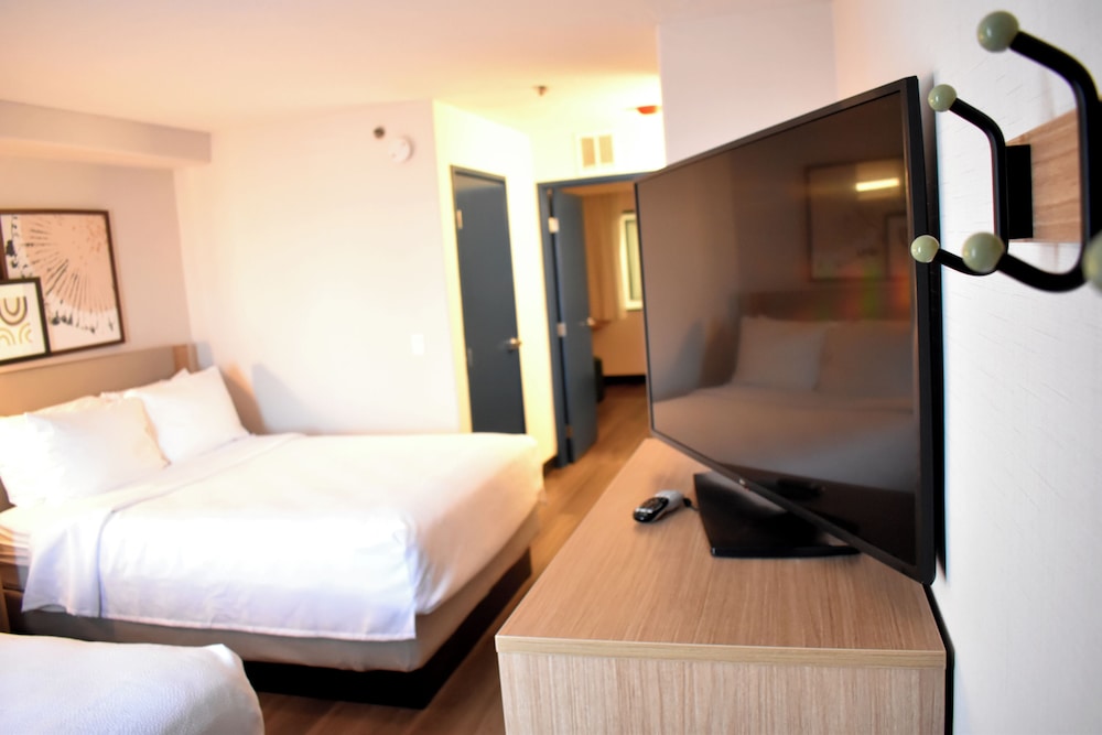 Room, Multiple Beds photo 3