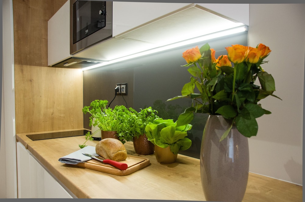 Business Apartment photo 2