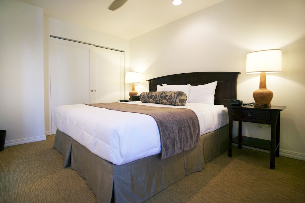 1 Bedroom Ocean Front with Den photo 3
