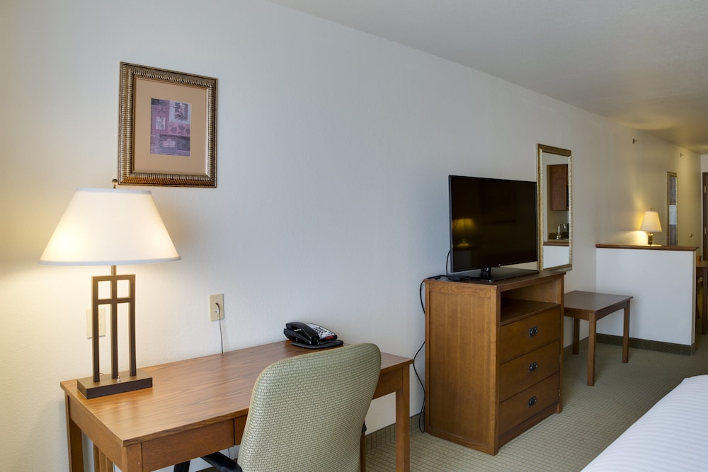 Suite, 1 King Bed - Photo 1