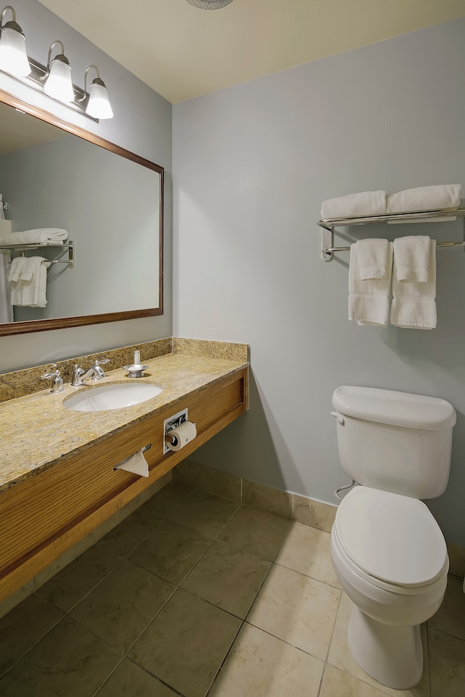 Condo, 1 Bedroom (One Bedroom with Loft Condominium) - Photo 5