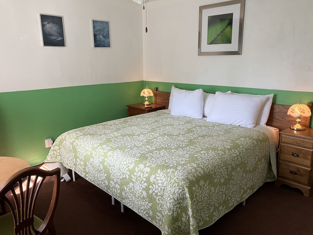 Standard Single Room, 1 King Bed - Photo 26