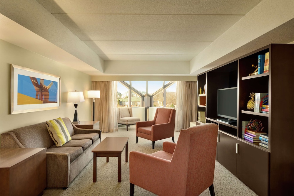 Suite, 1 King Bed, Non Smoking photo 1
