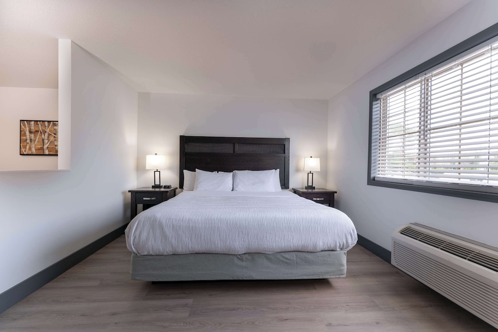 Suite, 1 King Bed, Non Smoking, Kitchen (Shower Only;with Sofabed) - Photo 4