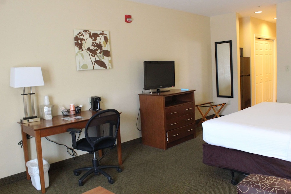 Room, 1 King Bed with Sofa bed, Non Smoking photo 2