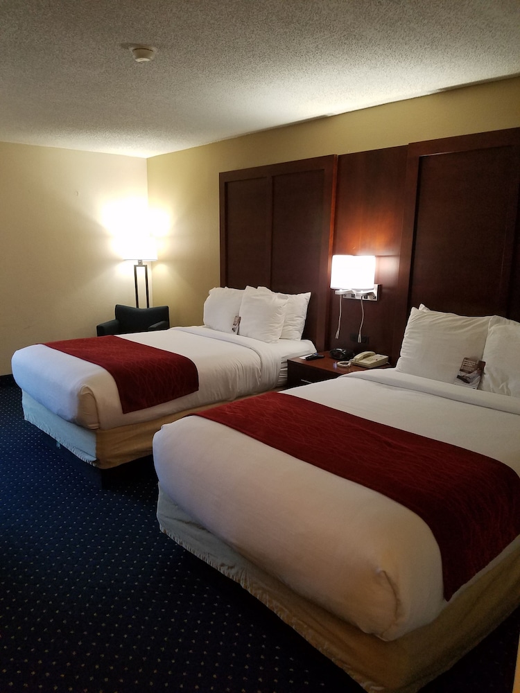 Standard Room, 2 Double Beds - Photo 3