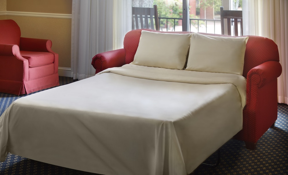 Deluxe Room, Multiple Beds (Two Double and Two Twin Trundle Beds ) photo 3